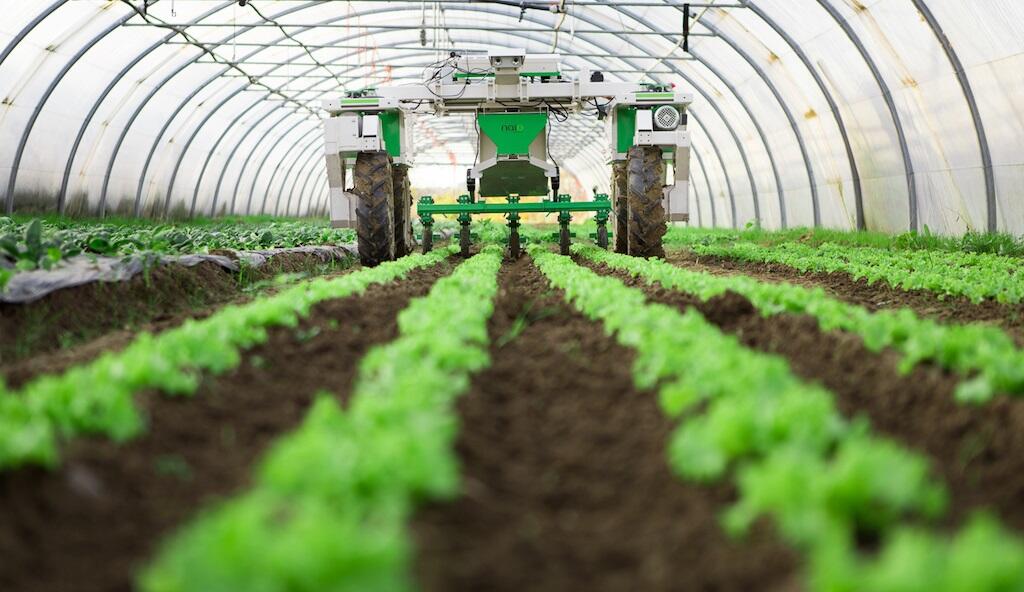 Побарувачката за земјоделски производи ќе порасне за 60% до 2050 година